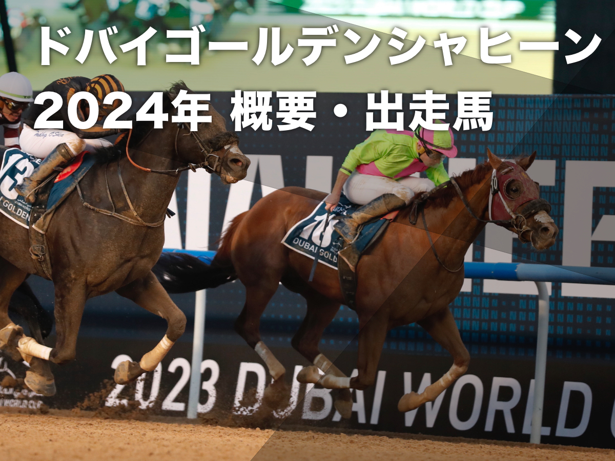 【ドバイゴールデンシャヒーン2024】枠順・出走予定馬・レース概要・過去の優勝馬・最新情報など【3月30日(土)23時25分】