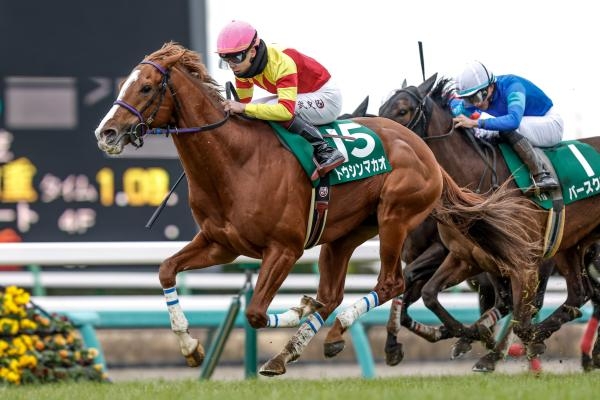 【オーシャンステークス 2024結果情報】トウシンマカオが直線で差し切り重賞連勝！