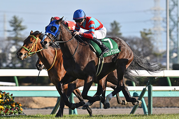 中山牝馬ステークスを制したコンクシェル(撮影：小金井邦祥)