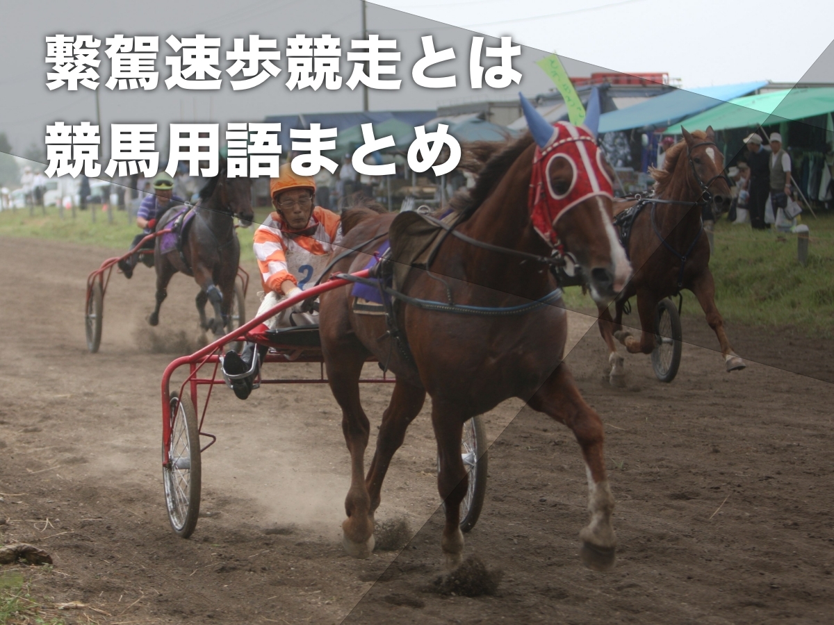 繋駕速歩競走の様子