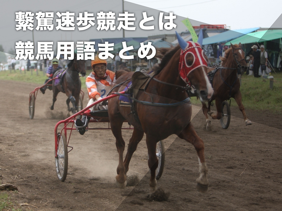 繋駕速歩競走の様子