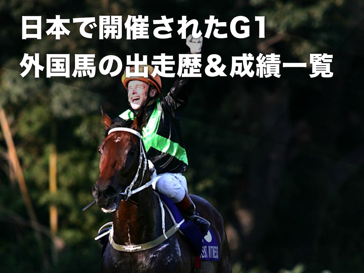 2005年のスプリンターズステークスを制した「香港の英雄」サイレントウィットネス(撮影：下野雄規)