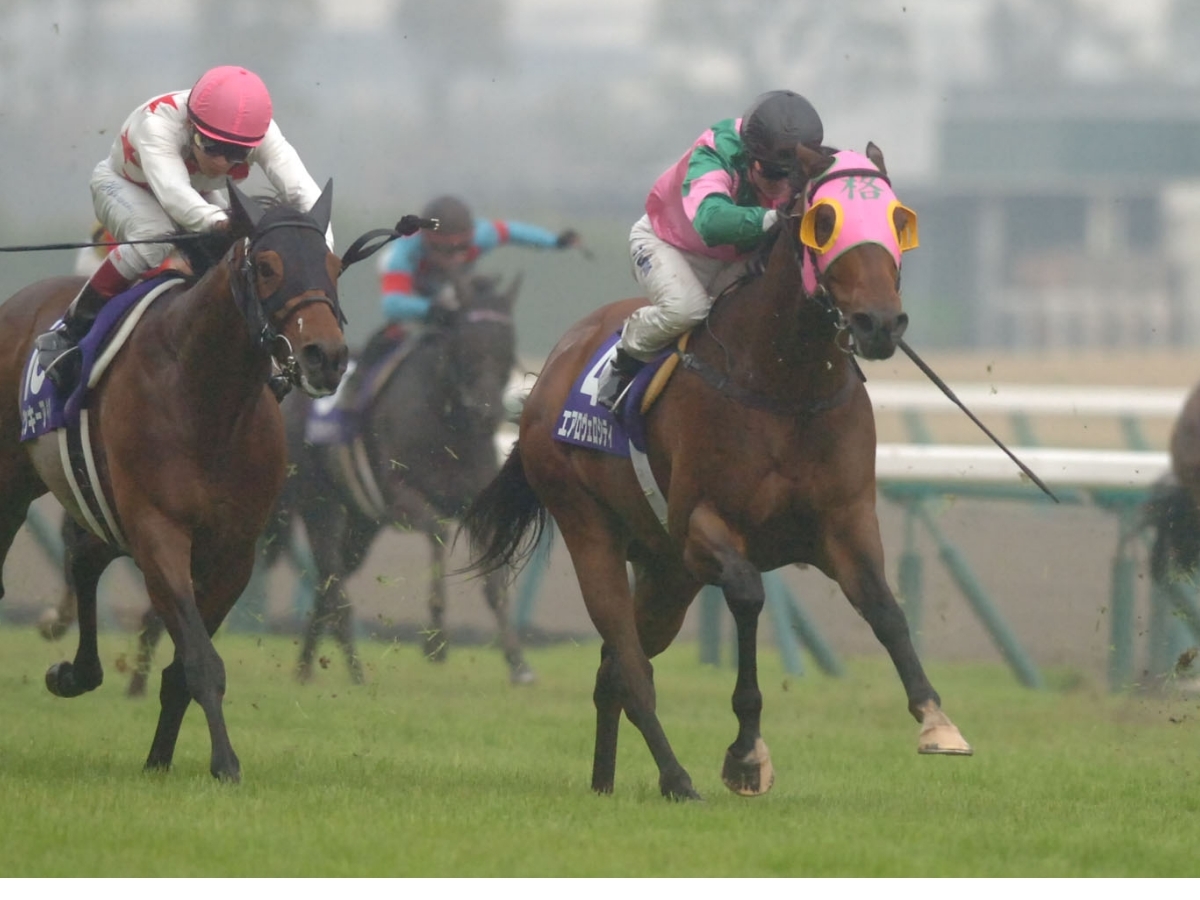 2015年の高松宮記念を制した香港馬エアロヴェロシティ(c)netkeiba