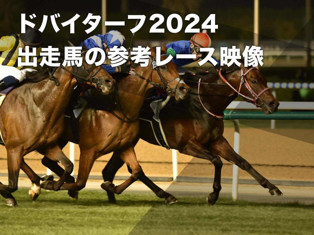 【映像まとめ】ドバイターフ2024：出走想定馬のレース動画一覧