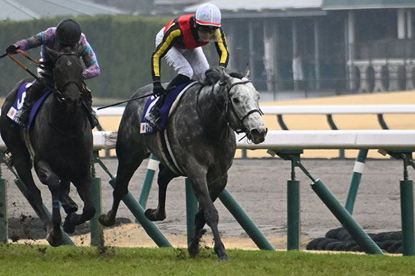 【高松宮記念 2024結果情報】重馬場を切り裂いてマッドクールがGI初制覇！