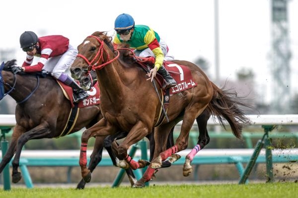 【ニュージーランドトロフィー 2024結果情報】横山武史騎手騎乗のエコロブルームが重賞初制覇 ！