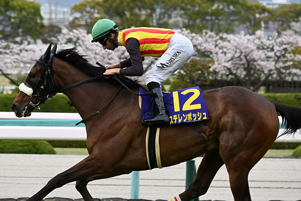 桜花賞を制したステレンボッシュ(c)netkeiba