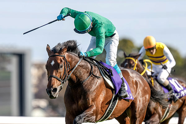 2024中山グランドジャンプ優勝馬イロゴトシ(撮影：下野雄規)