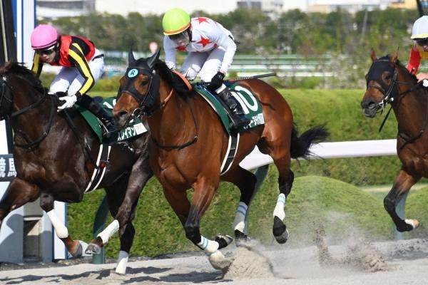 アンタレスステークスを制したミッキーヌチバナ(c)netkeiba