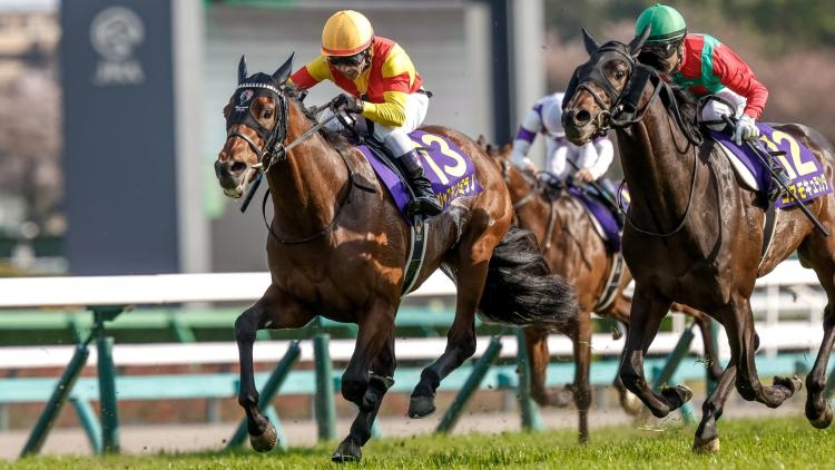 2024年皐月賞優勝馬ジャスティンミラノ(撮影：下野雄規)