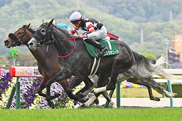 福島牝馬ステークスを制したコスタボニータ(撮影：小金井邦祥)