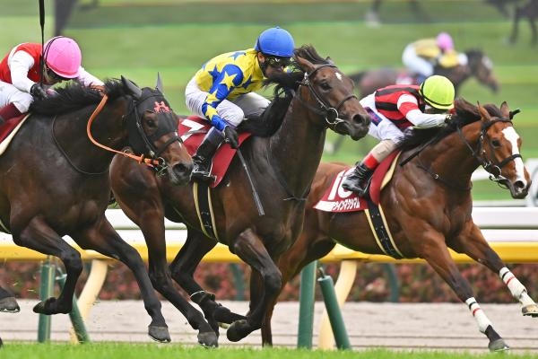 青葉賞を制したシュガークン(写真中央、撮影：小金井邦祥)