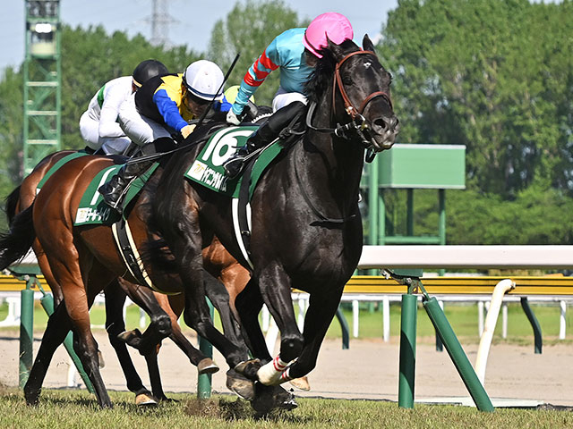 新潟大賞典を制したヤマニンサルバム(撮影:小金井邦祥)