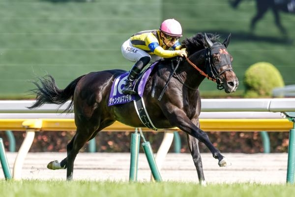 2024年NHKマイルカップ優勝馬ジャンタルマンタル(撮影：下野雄規)