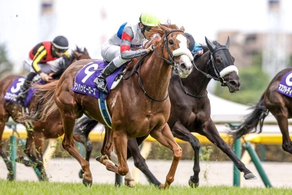 ヴィクトリアマイル 歴代優勝馬・騎手一覧