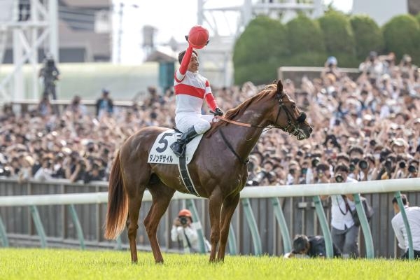 2024年東京優駿（日本ダービー）優勝馬ダノンデサイル