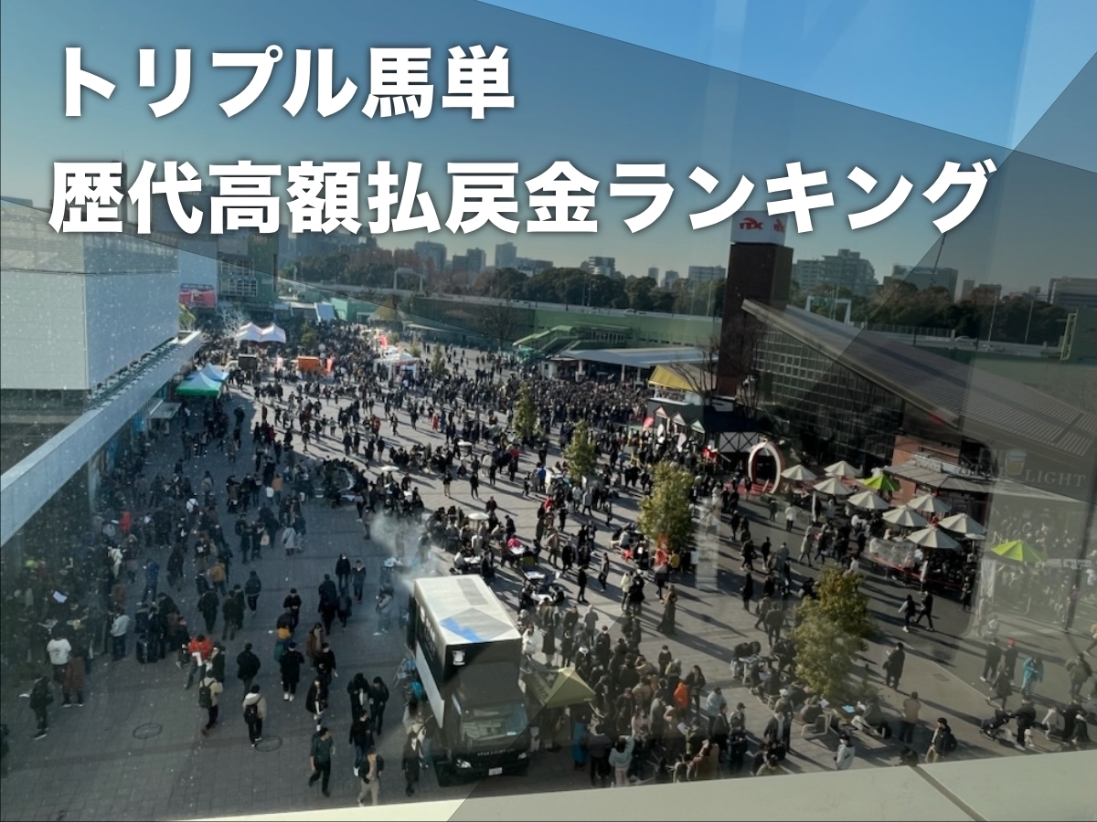 トリプル馬単(地方競馬)の歴代高額払戻金ランキングTOP50・最新情報 歴代最高配当は「2億2813万165円」