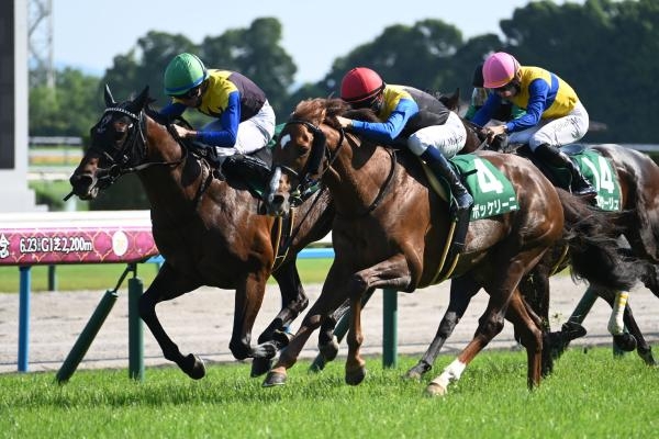 【鳴尾記念2024結果情報】ヨーホーレイクが接戦制す 約2年5か月ぶりの重賞V