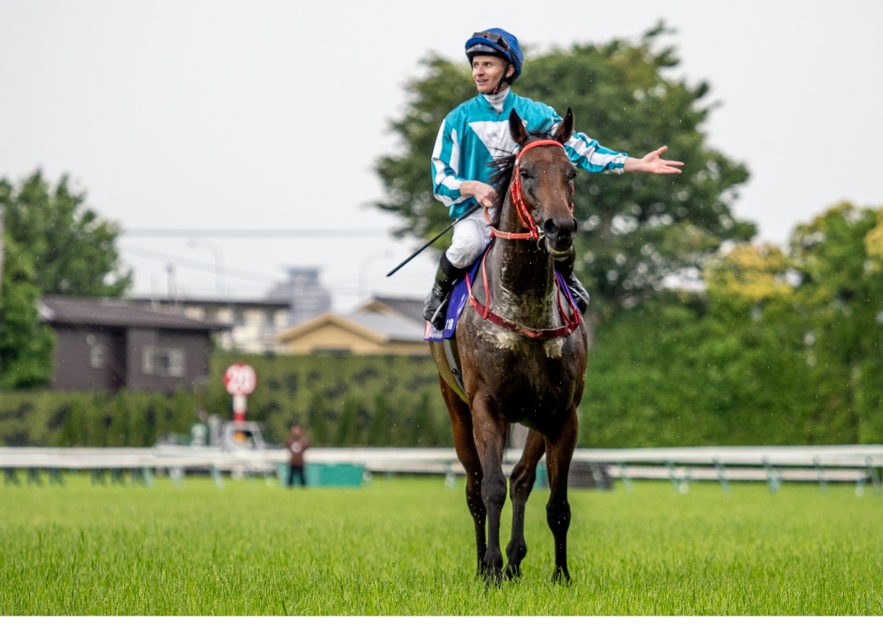 18年ぶりの香港馬による安田記念制覇を果たしたロマンチックウォリアー(撮影：下野雄規)