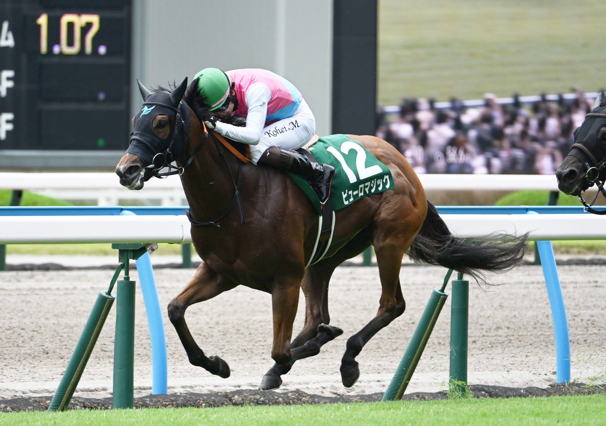 【北九州記念2024結果情報】ピューロマジックが逃げ切りV 年長馬を抑え重賞連勝