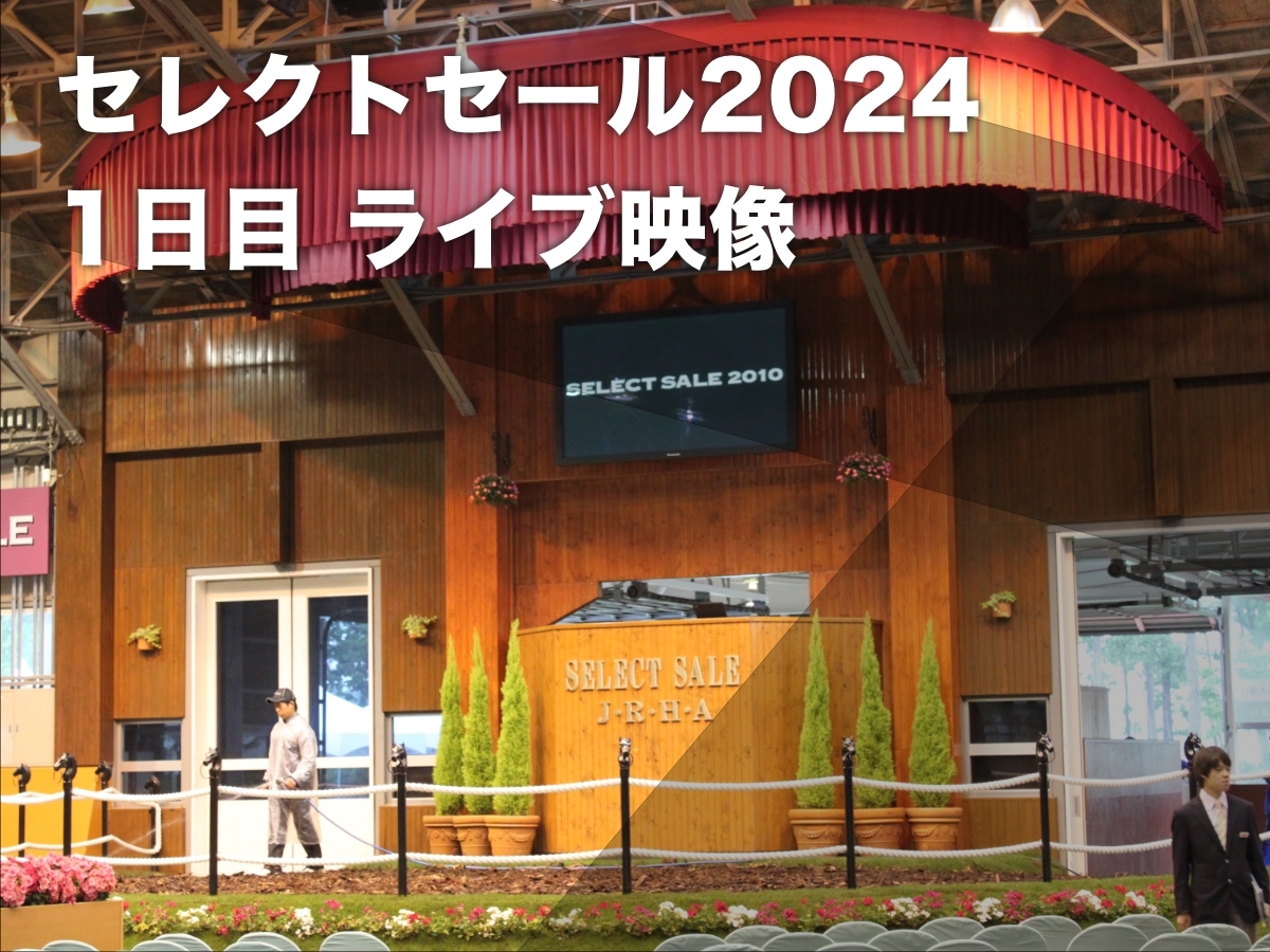 【ライブ映像】セレクトセール2024・1日目(1歳馬)セールのライブ配信・上場馬の一覧など最新情報