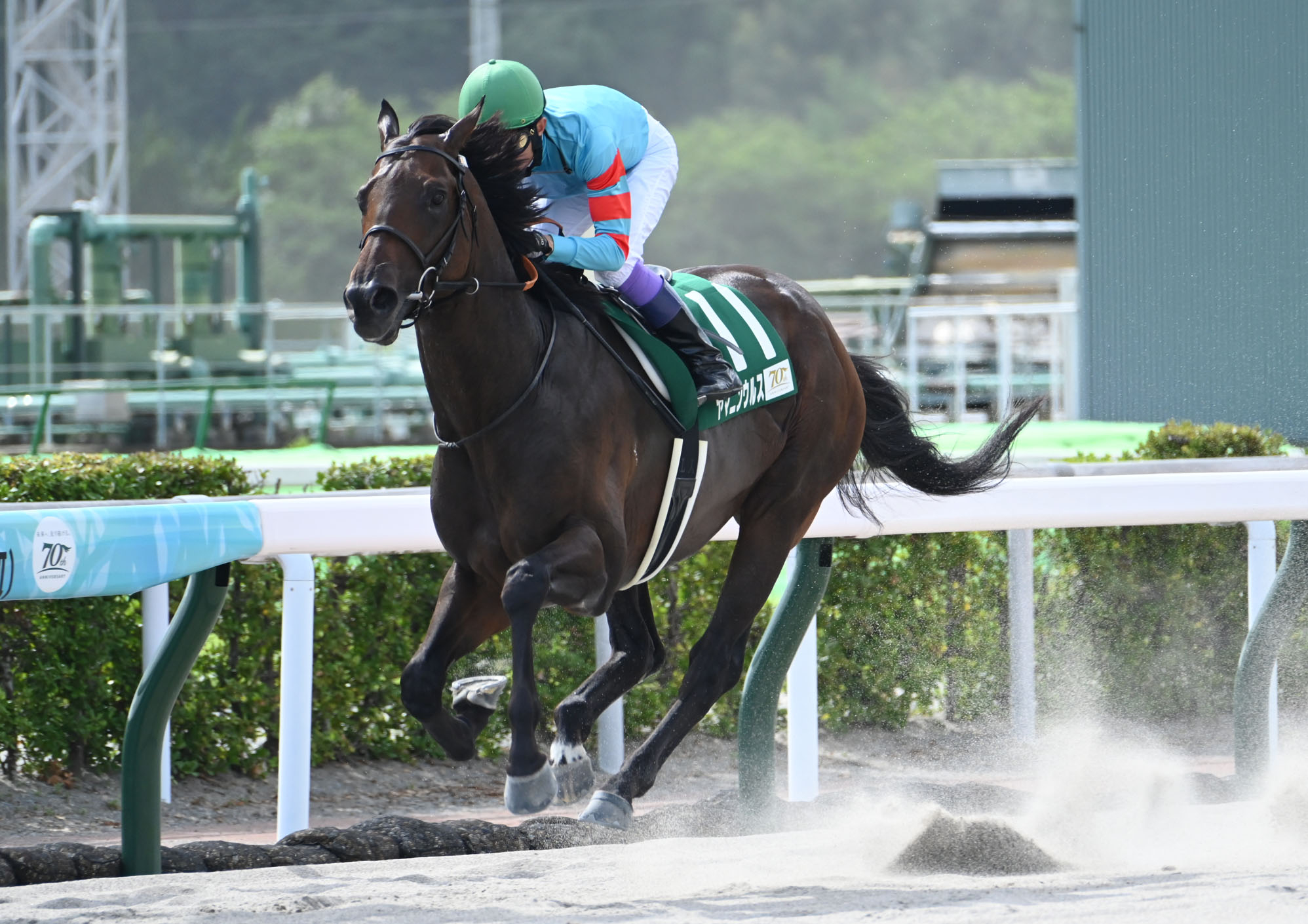 【プロキオンステークス2024結果情報】ヤマニンウルスが5連勝で重賞初制覇 ベテラン馬を圧倒する見事な走り