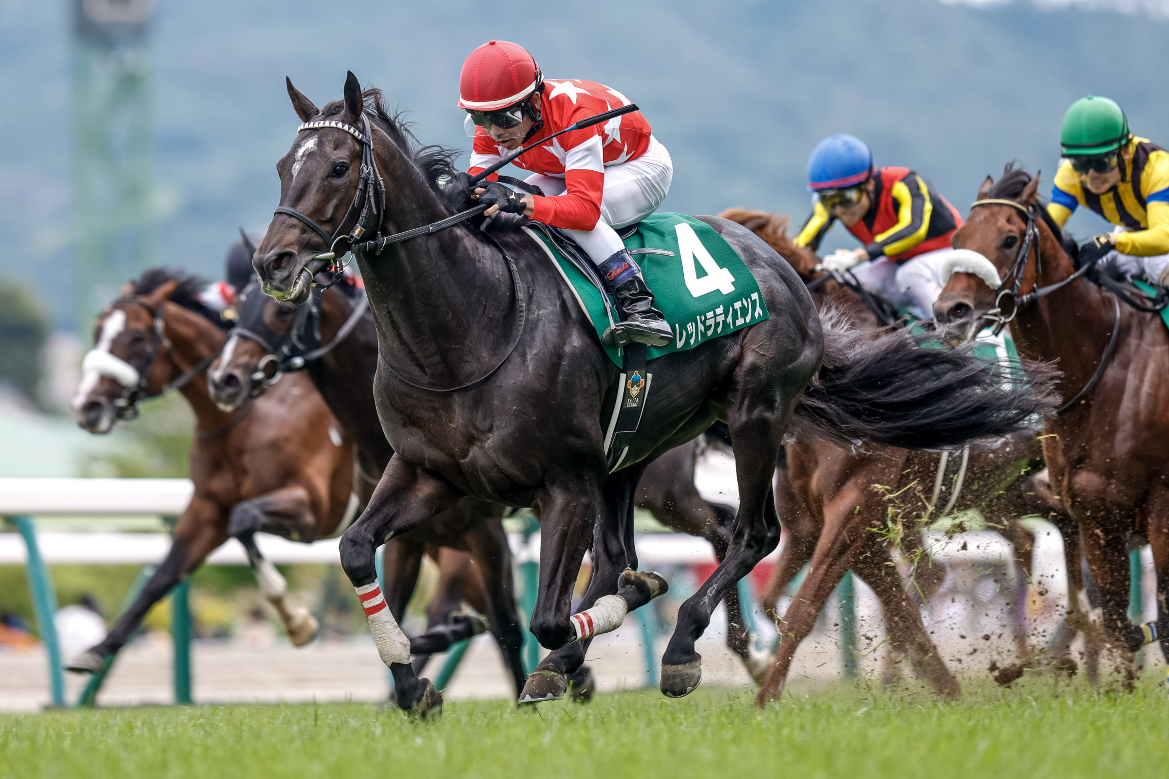 【七夕賞2024結果情報】実力を示す堂々の走り レッドラディエンスが重賞初挑戦で勝利