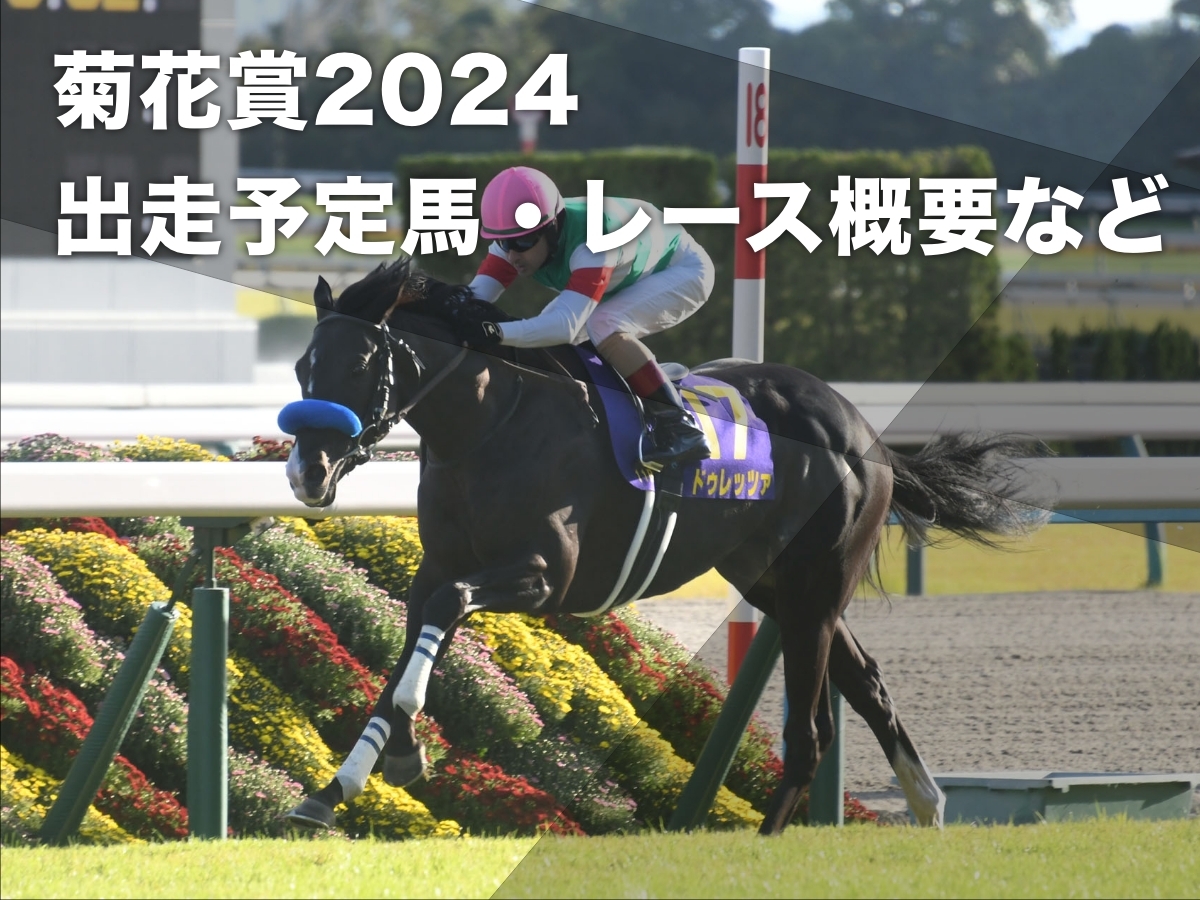 【菊花賞2024】出走予定馬・日程・レース概要・歴代優勝馬など最新情報【10月20日15時40分】