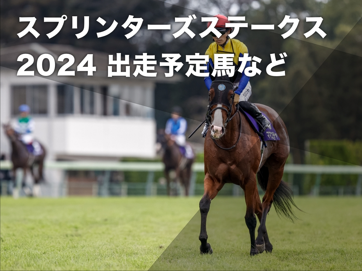 【スプリンターズステークス2024】出走予定馬・レース概要・日程・歴代優勝馬など最新情報【9月29日(日)15時40分】