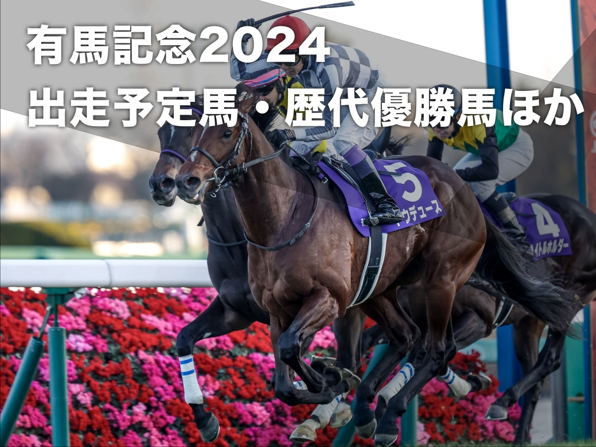 2023年の有馬記念を制した武豊騎手＆ドウデュース(撮影：下野雄規)