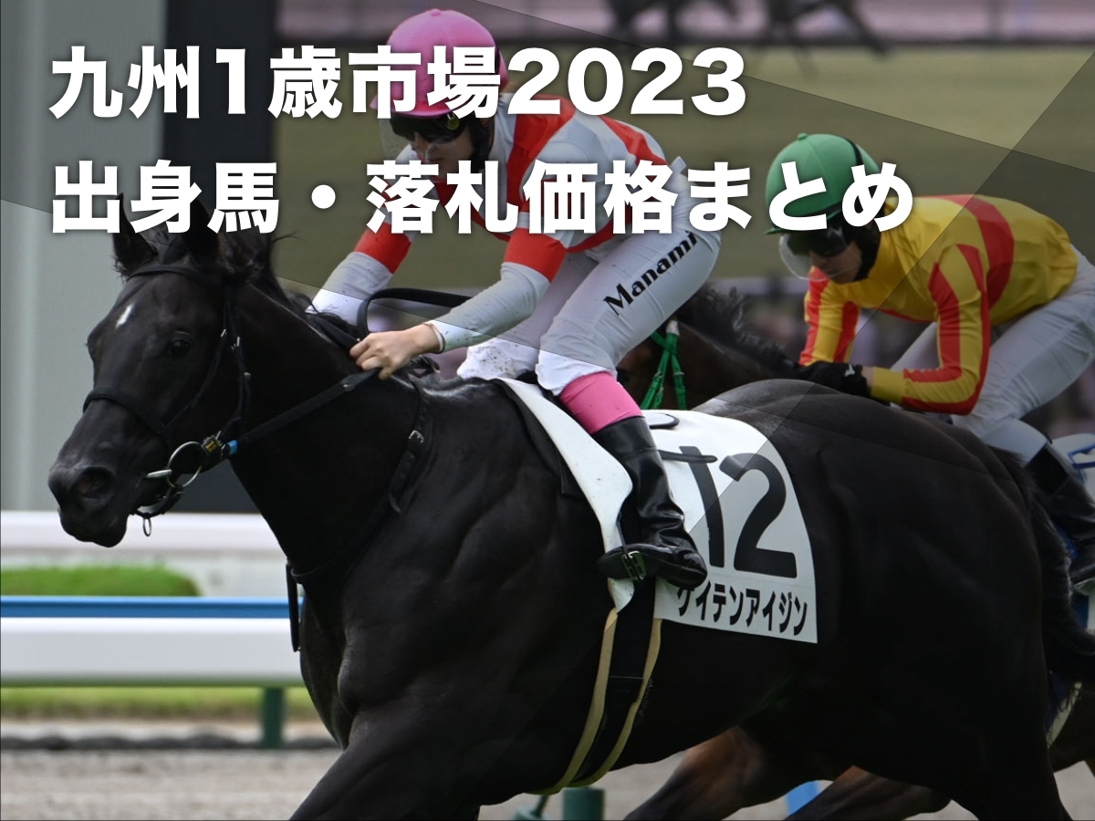 【九州産馬まとめ】2023年「九州1歳市場」の上場馬・落札馬・落札価格・落札者の一覧 最高価格は650万円のケイテンアイジン