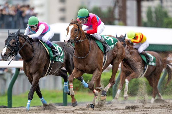 【エルムステークス2024結果情報】ペイシャエスが重賞3勝目 昨年の雪辱を果たす