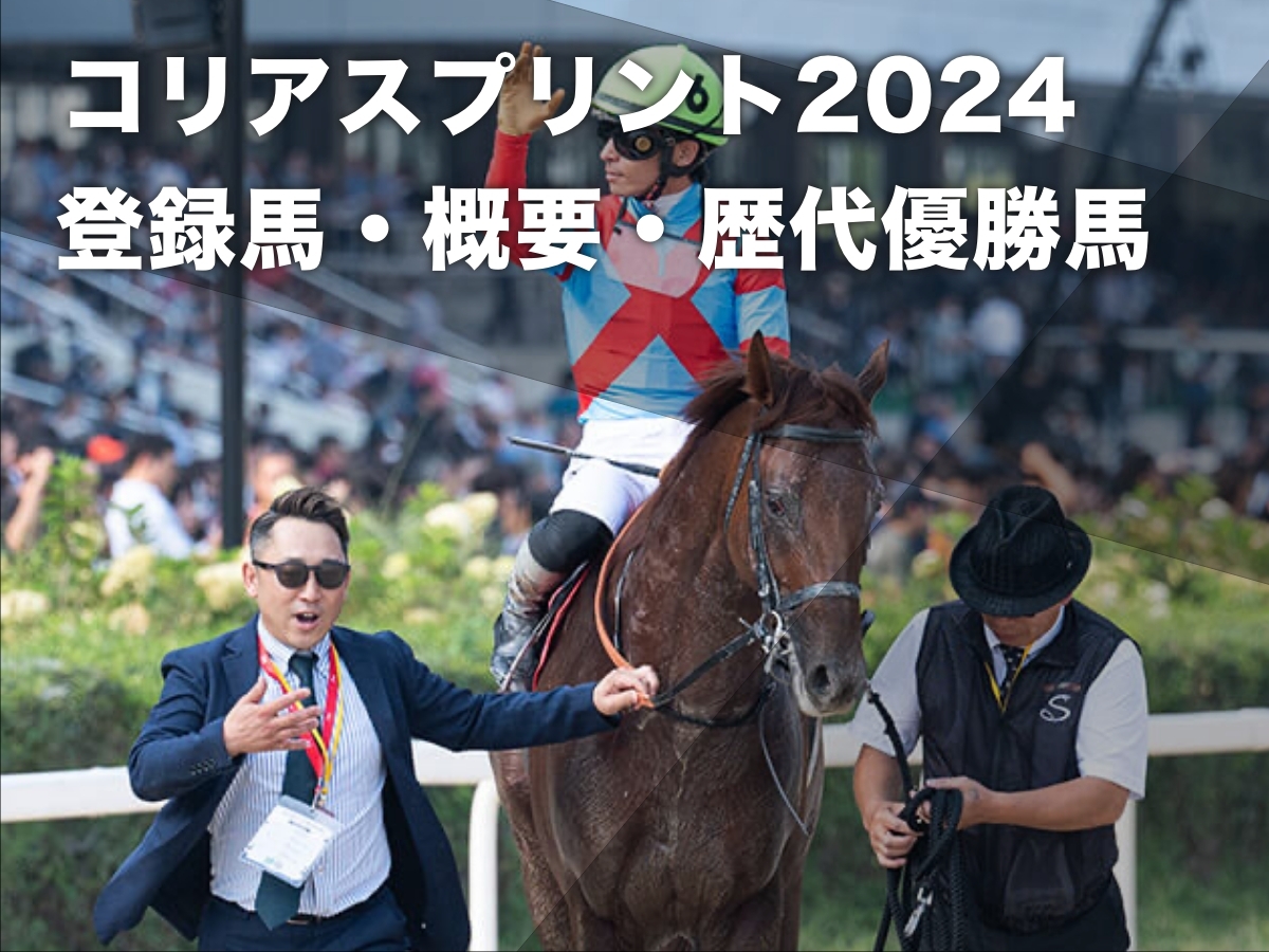 2023年のコリアスプリント優勝馬リメイク(撮影：岡田友貴)