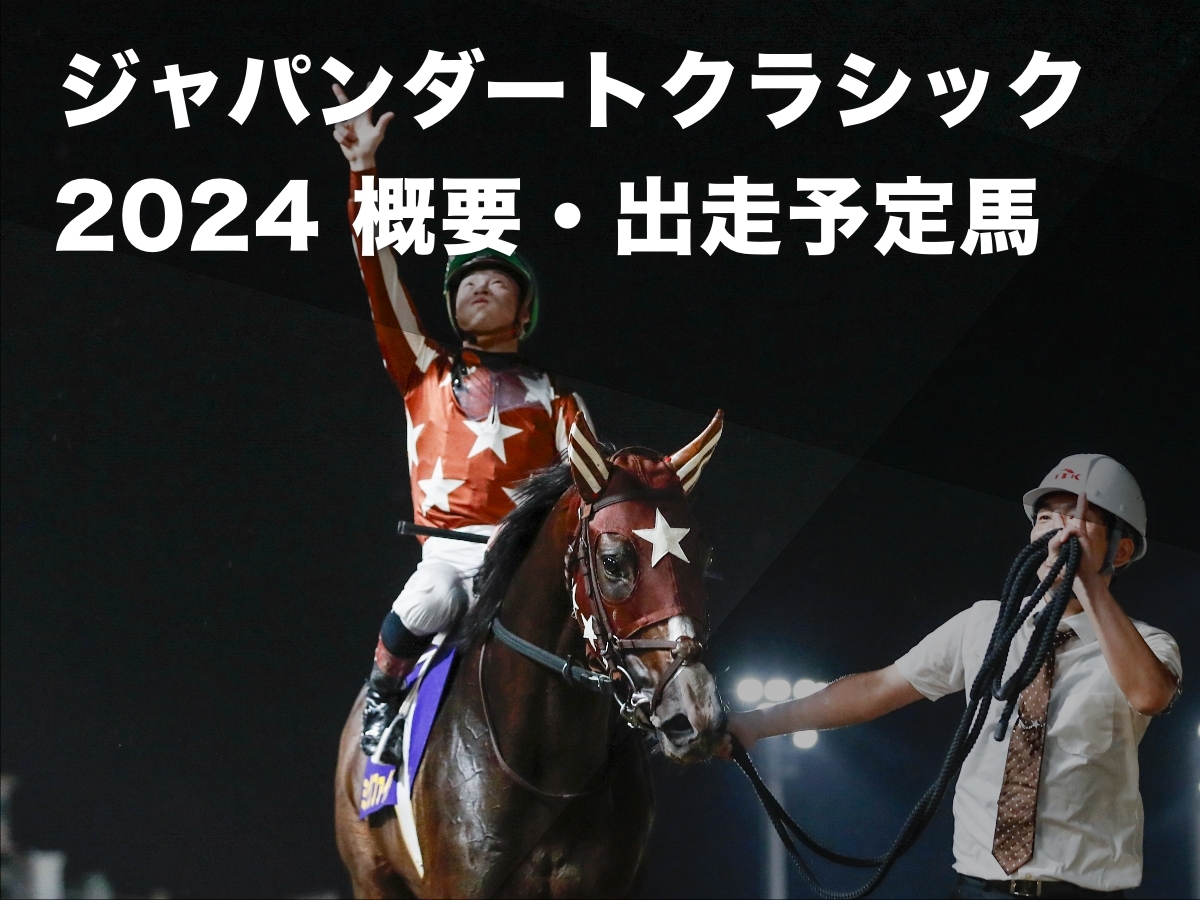 2023年に南関東三冠を達成したミックファイア(撮影：高橋正和)