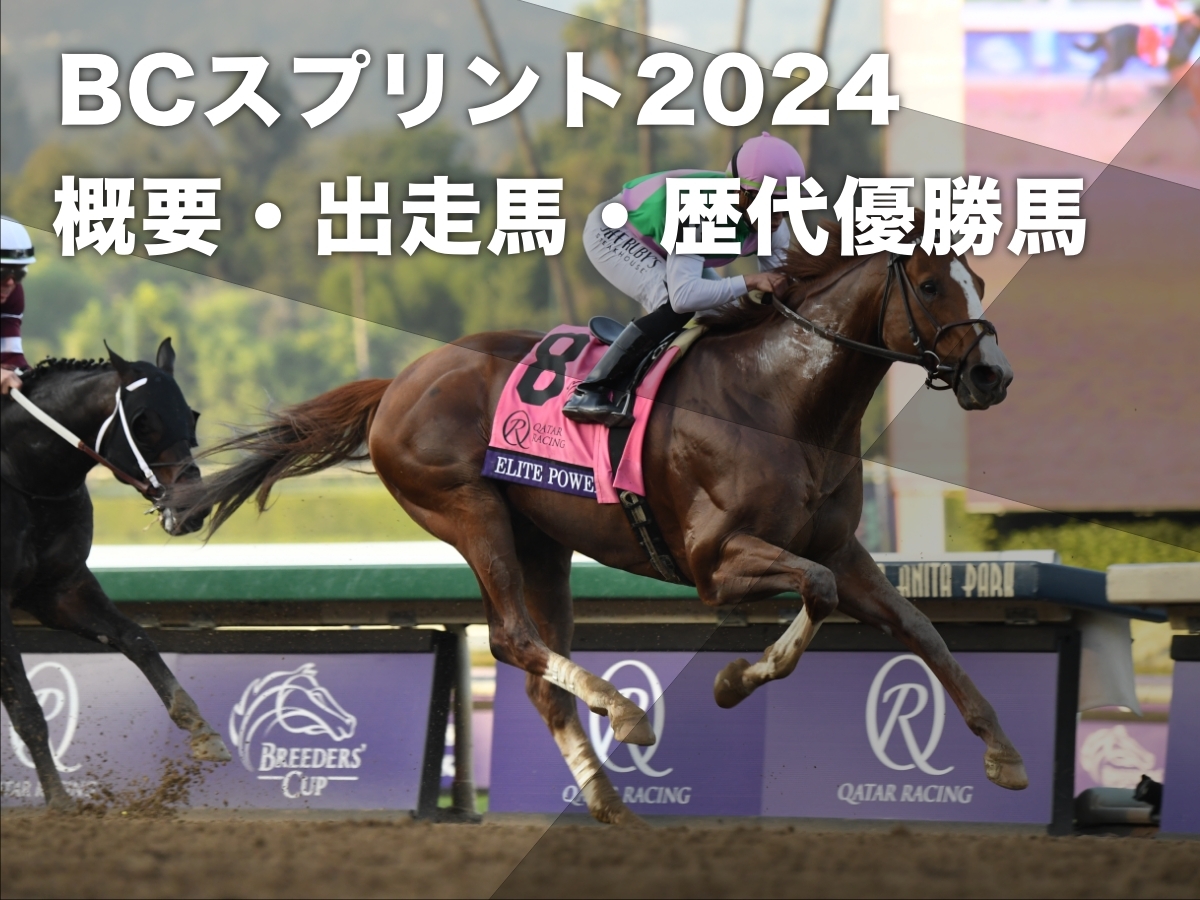 2022年・2023年のBCスプリントを連覇したエリートパワー(c)netkeiba.com