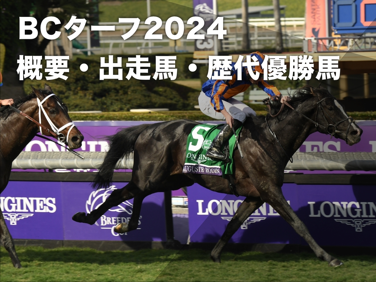 【BCターフ2024】ブリーダーズカップ・ターフの出走予定馬・レース概要・歴代優勝馬・日本馬の出走歴 シャフリヤールが2年連続で参戦予定など最新情報