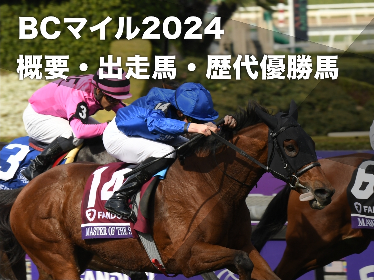 【BCマイル2024】ブリーダーズカップ・マイルの出走予定馬・レース概要・歴代優勝馬・日本馬の出走歴 テンハッピーローズが参戦予定など最新情報