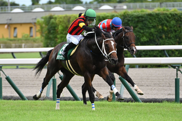 【小倉2歳ステークス 2024結果情報】エイシンワンドがゴール前の混戦から抜け出し重賞初制覇