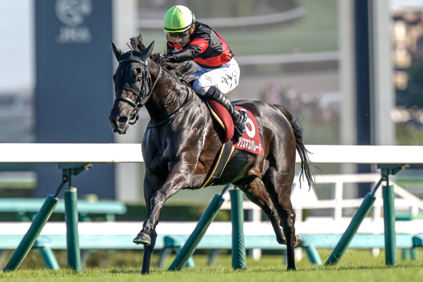 【紫苑ステークス 2024結果情報】直線抜け出したクリスマスパレードが重賞初制覇