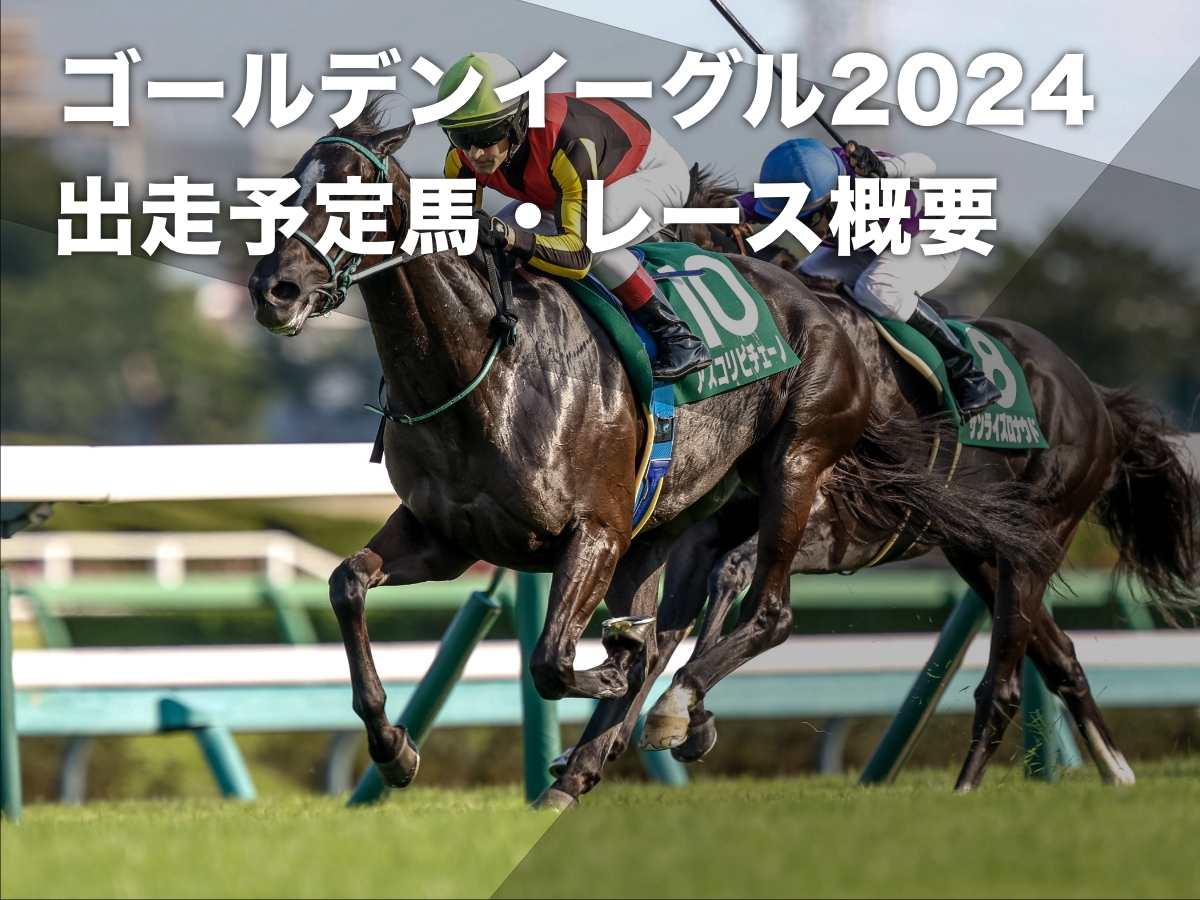 2024年ゴールデンイーグルに出走を予定しているアスコリピチェーノ(撮影：下野雄規)