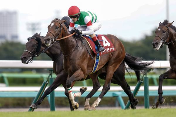 【オールカマー2024結果情報】差し切り勝ちで人気に応えたレーベンスティール