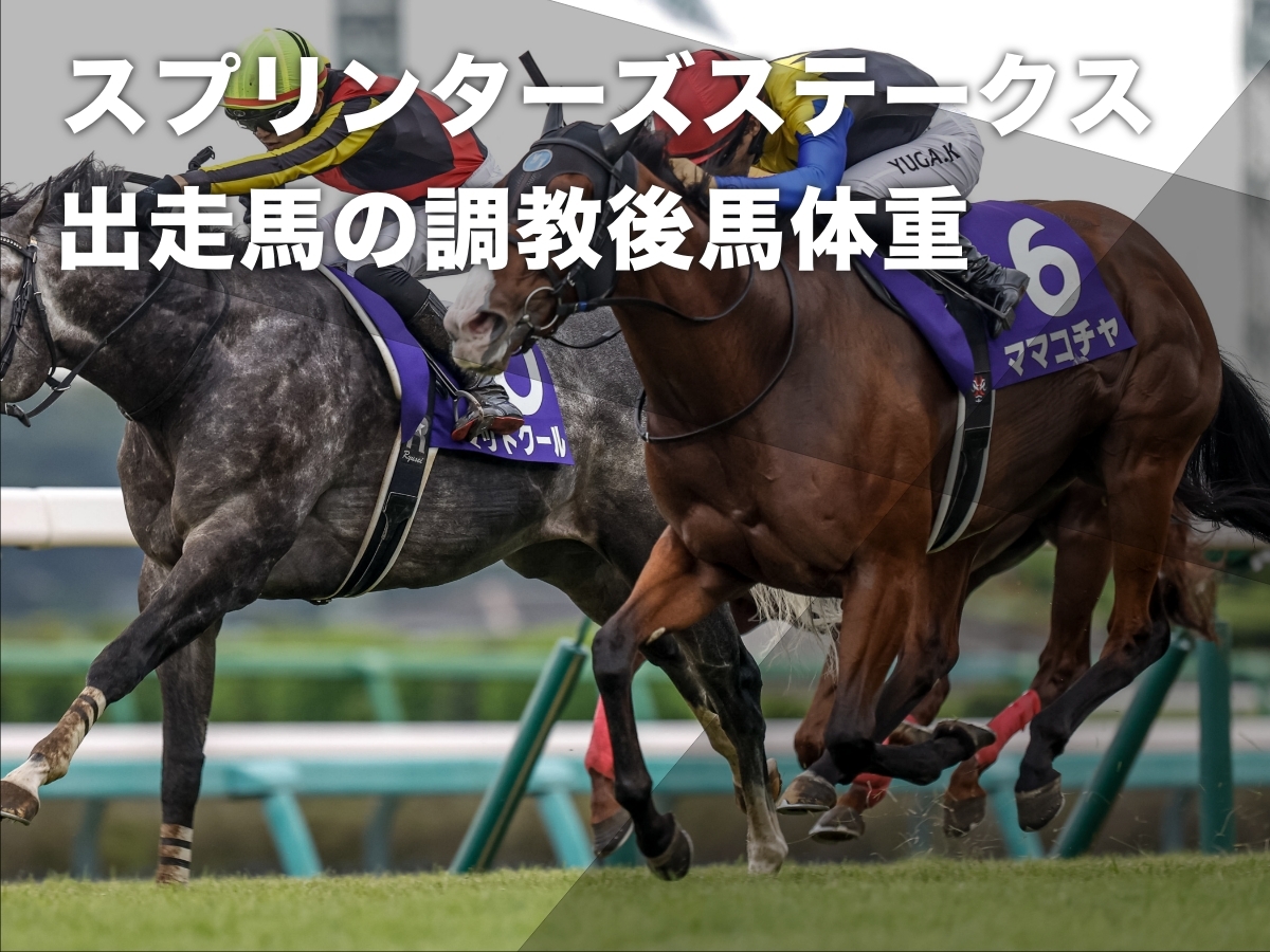 【スプリンターズステークス2024】出走馬の調教後馬体重まとめ サトノレーヴ549kg・マッドクール548kgなど最新情報
