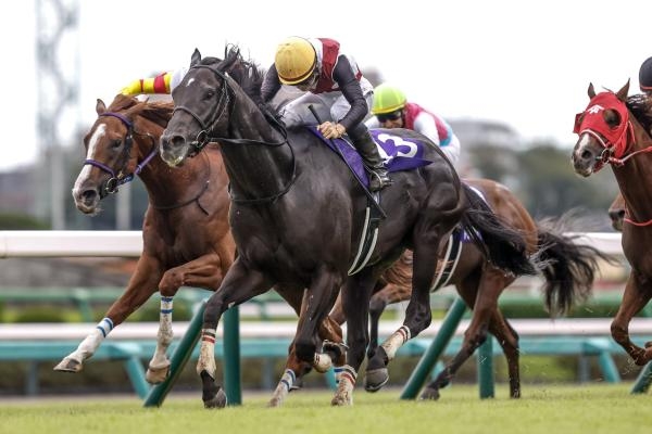 2024年スプリンターズS優勝馬ルガル(c)netkeiba.com