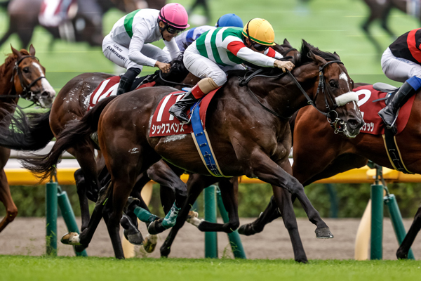 毎日王冠を制したシックスペンス(撮影：下野雄規)