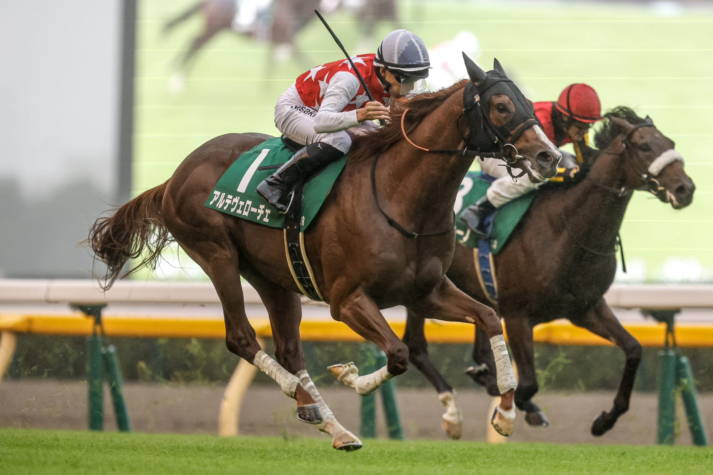 【POG2024-2025】レベルの高いレースは？ タイム指数ランキング/2歳牡馬・芝