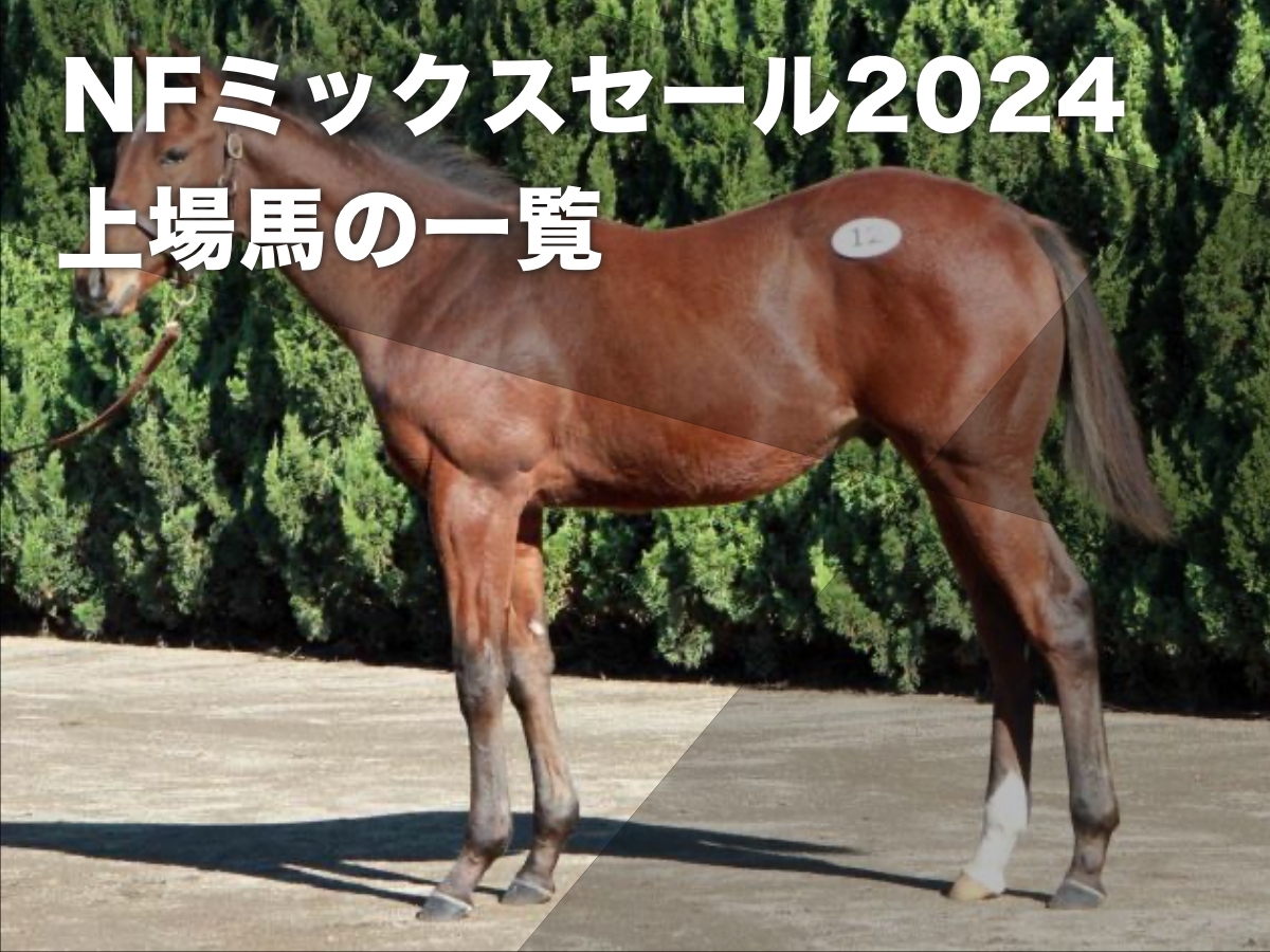 【ミックスセール2024】速報・ライブ配信・ノーザンファームミックスセールの上場馬(当歳馬52頭・繁殖牝馬74頭)の一覧・セール概要など最新情報【10月22日(火)】