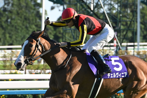 【秋華賞 2024結果情報】人気に応えたチェルヴィニアが牝馬二冠達成