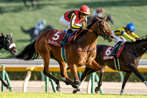 府中牝馬Sを制したブレイディヴェーグ(撮影：下野雄規)