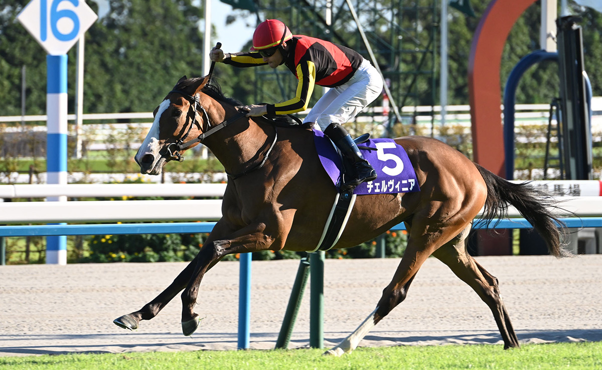 2024年に牝馬二冠を達成したチェルヴィニア(c)netkeiba