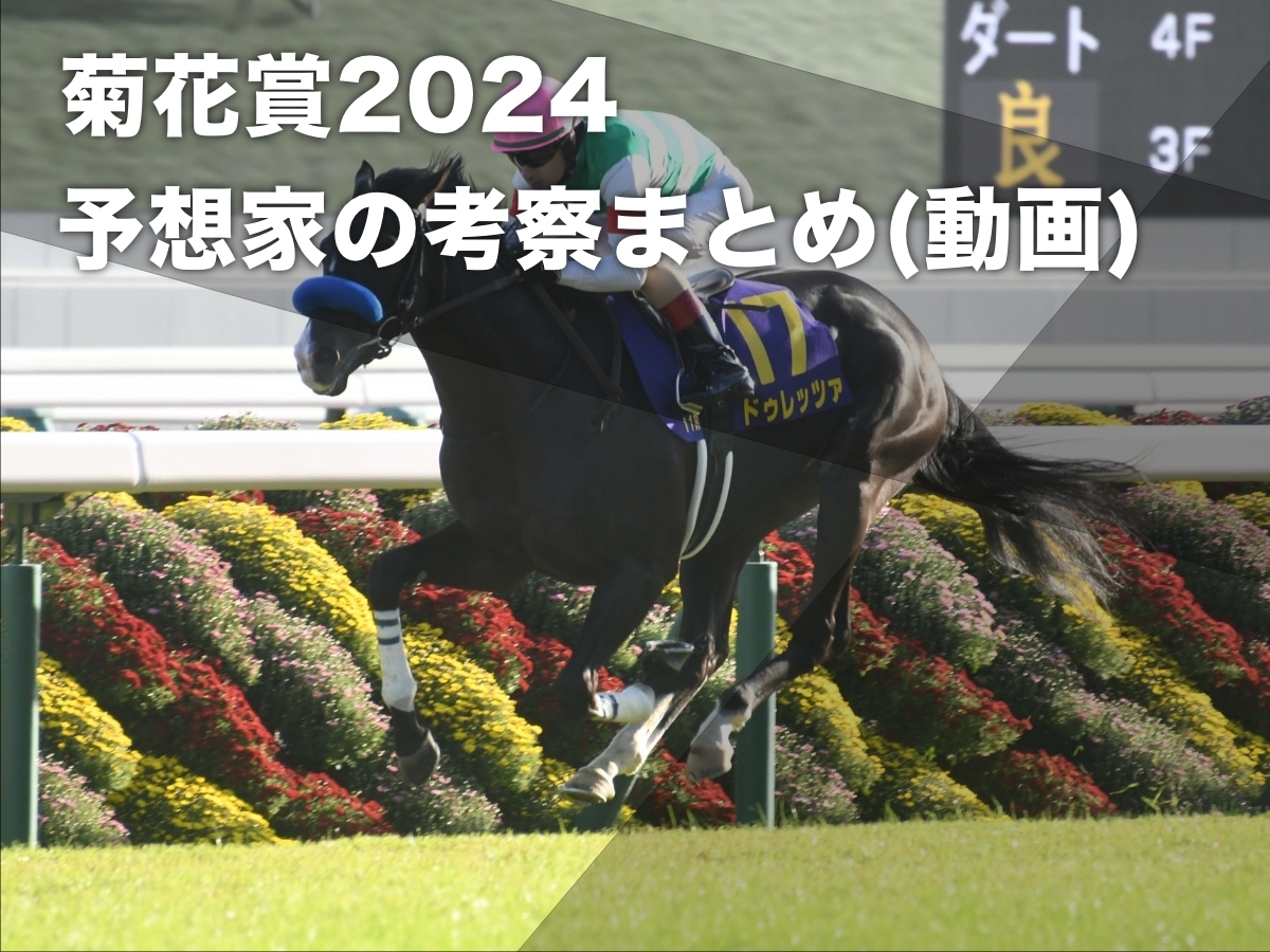 【菊花賞2024予想】過去のレース傾向や有力馬の特徴からプロ予想家がポイントを語る/動画